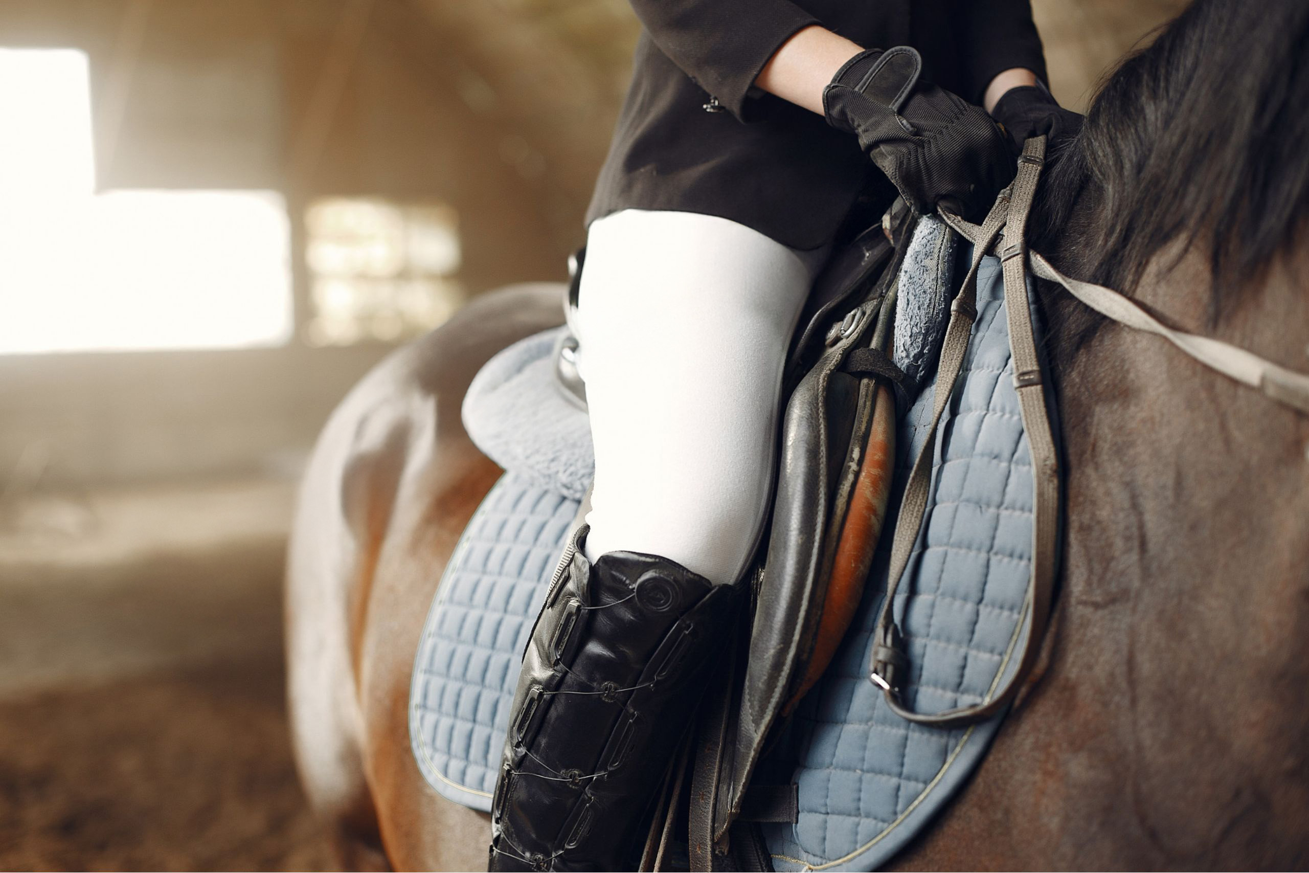 Paardensport